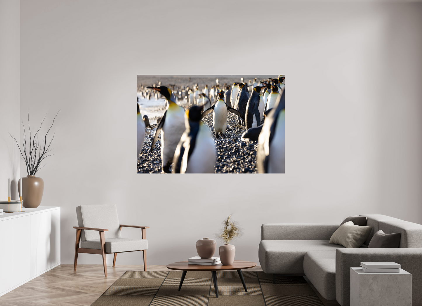 Morning Glow – King Penguin at Fortuna Bay